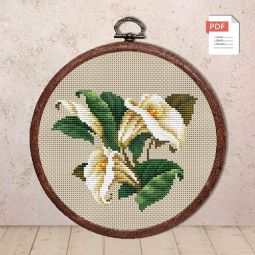 Vintage Calla Lily Cross Stitch Pattern #fl.101