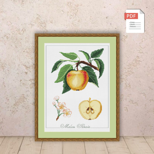 Apple Cross Stitch Pattern #flc028