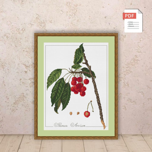Cherry Cross Stitch Pattern #flc031