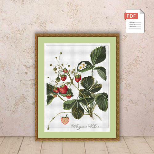 Strawberry Cross Stitch Pattern #flc032