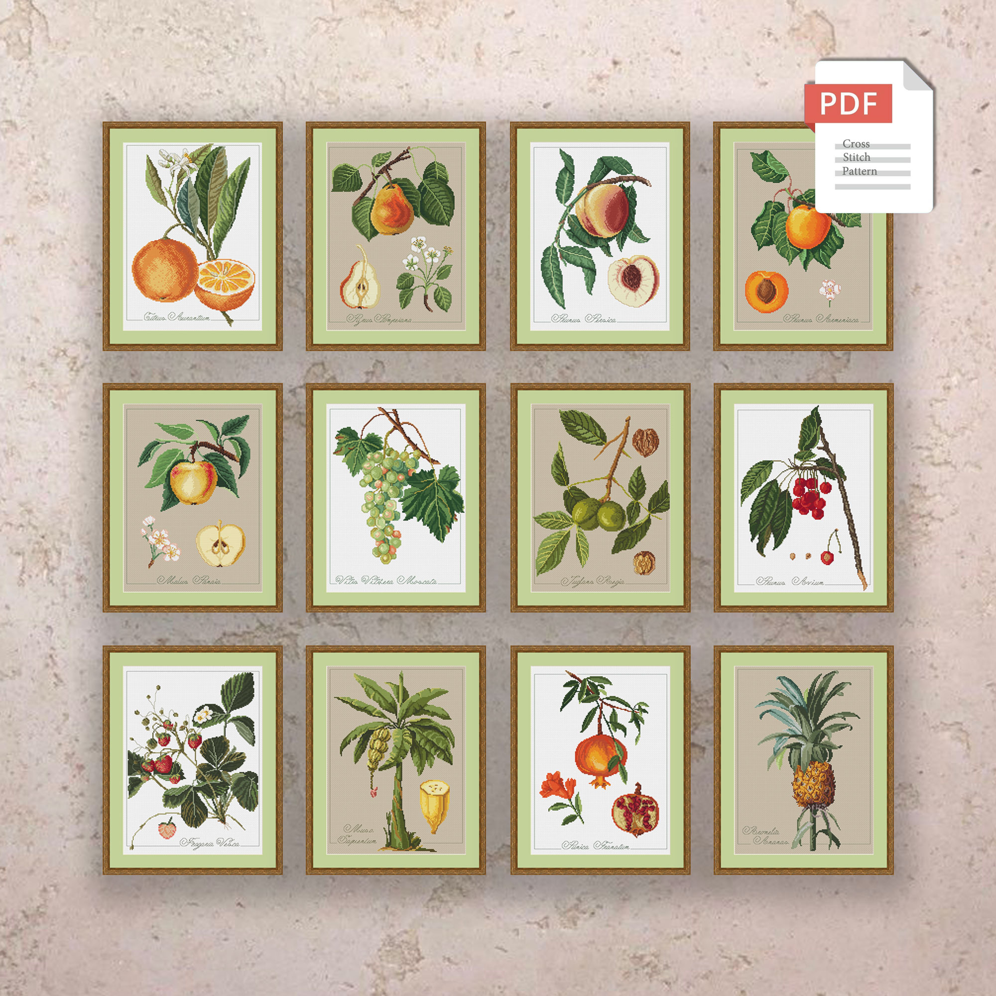 Pineapple Cross Stitch Pattern #flc035 - Image 2