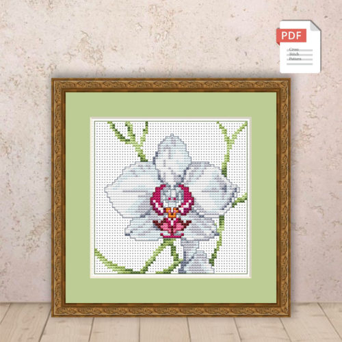 Orchid Cross Stitch Pattern #flc039