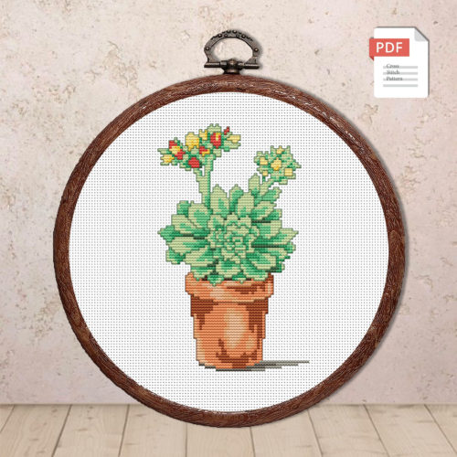 Succulent Cross Stitch Pattern #fl.005