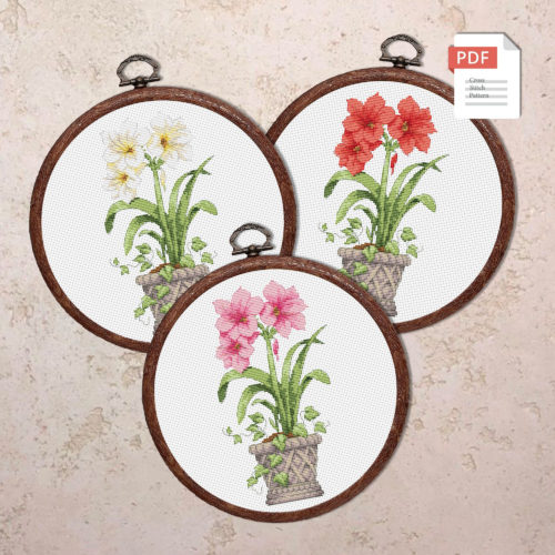 Set of 3 Amaryllis Cross Stitch Patterns #fl.148